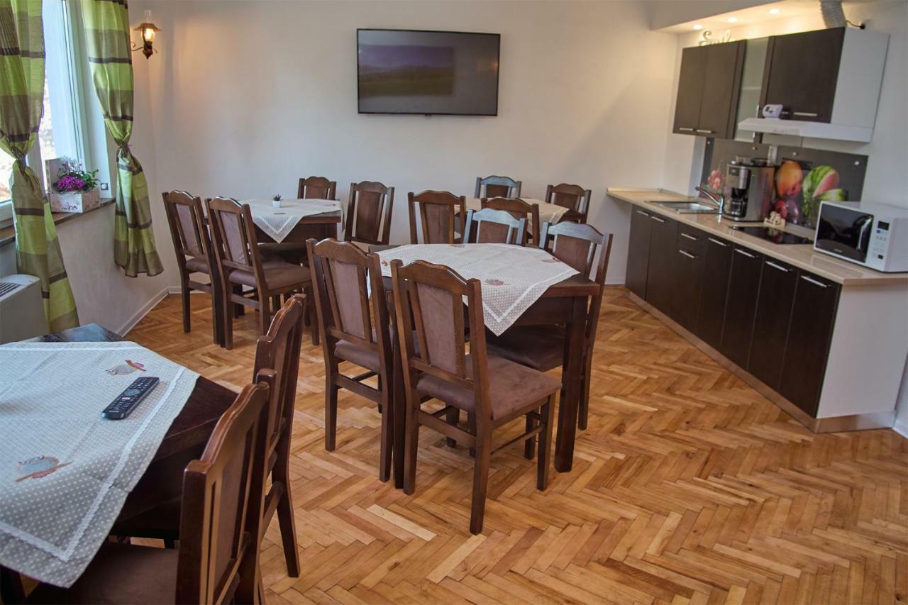 Pensiunea Selena Vişeu de Sus Extérieur photo