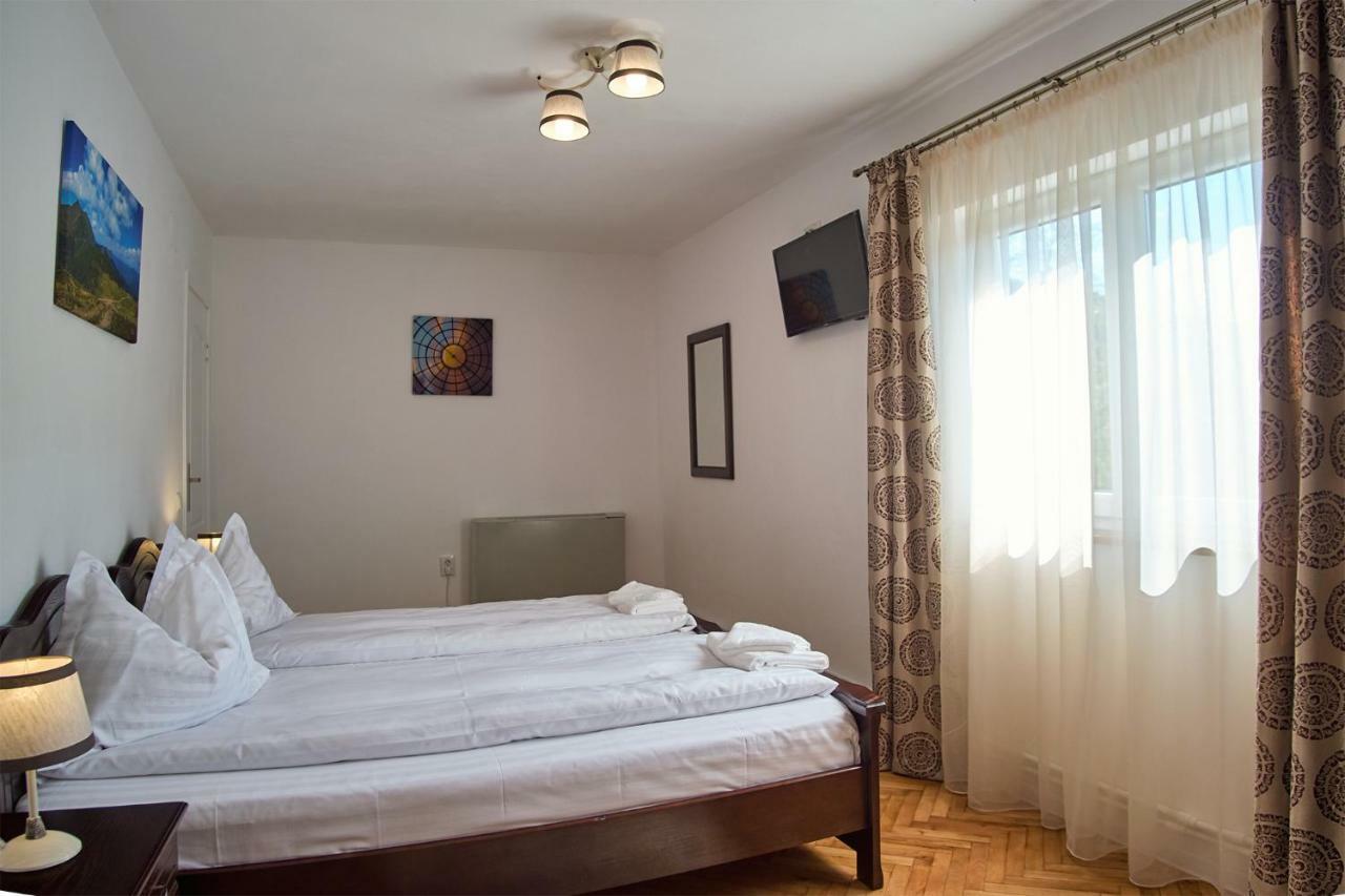 Pensiunea Selena Vişeu de Sus Extérieur photo
